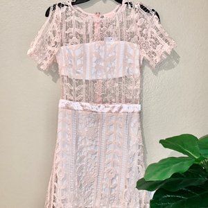 NWT Lace short sleeve pale pink dress, size M
